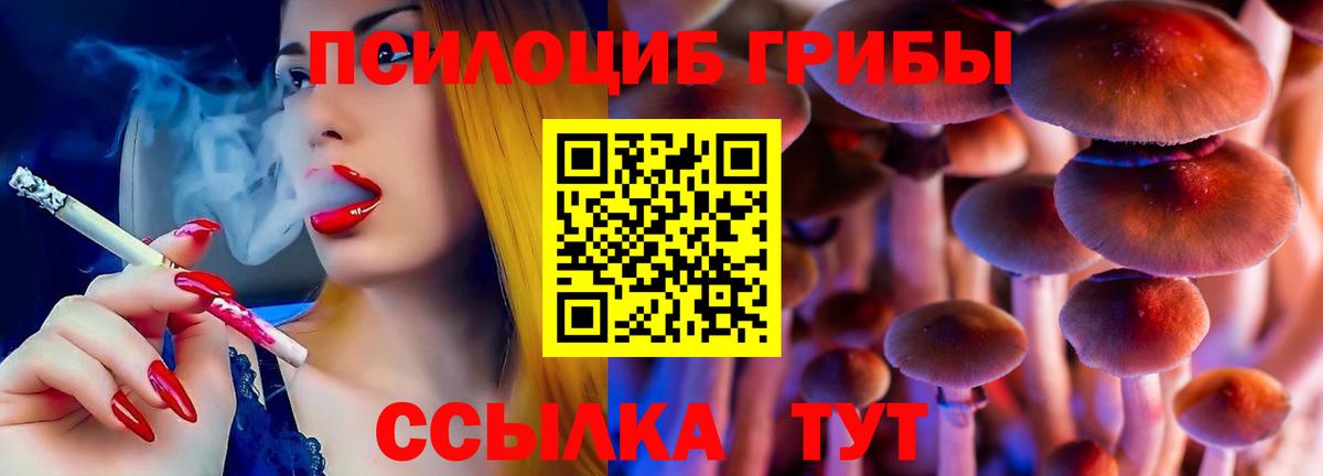Магазин наркотиков  АМФ кристаллы  Гашиш  Алейск  Вход с VPN  ГАШИШ  МЕФ   МАРИХУАНА  COCAIN 